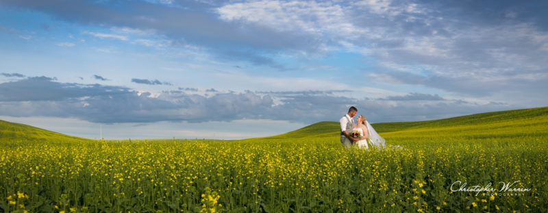 panoramic bride and groom in field