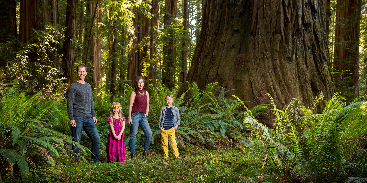 Willis Family | Redwood Forest, CA